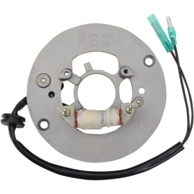 RICK'S MOTORSPORT ELECTRIC Stator Yamaha PW 80cc 95-03