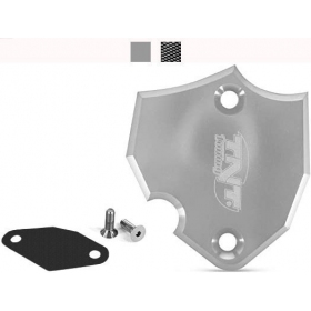 Oil pump cover TNT AM6 50cc 2T