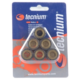 TECNIUM svareliai 20x14mm 15,5gr - 6 vnt.
