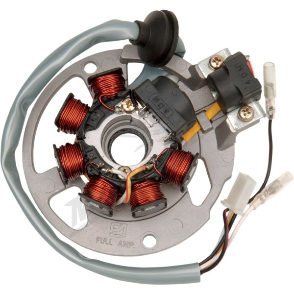 RICK'S MOTORSPORT ELECTRIC Stator Polaris / Eton 50-90cc 00-06