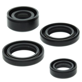 Winderosa (vertex) set of engine seals Honda TRX 90 93–05
