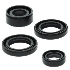 Winderosa (vertex) set of engine seals Honda TRX 90 93–05