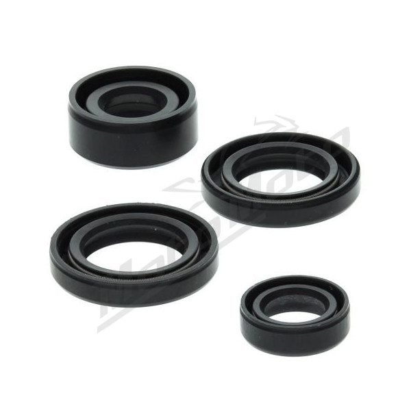 Winderosa (vertex) set of engine seals Honda TRX 90 93–05