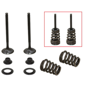 Psychic 2024/03 exhaust valves (valve set with springs and washers) Beta / Husaberg / KTM 400-650cc 00-08