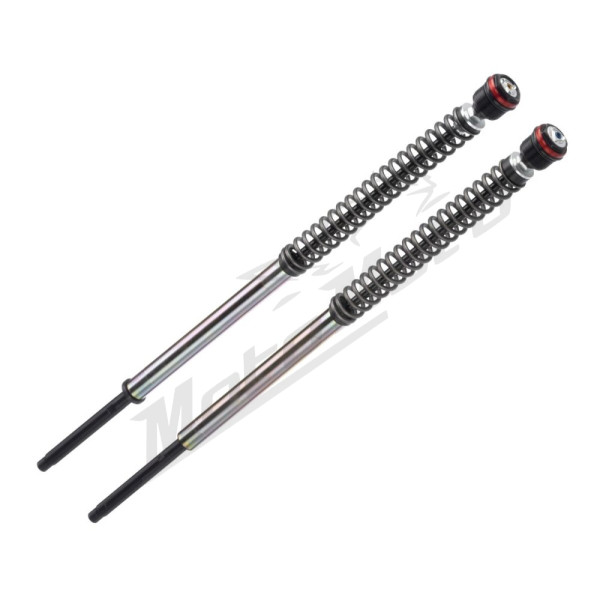 BITUBO S.R.L. JBH12 Series fork cartridges Harley Davidson XL 883-1200cc 07-19