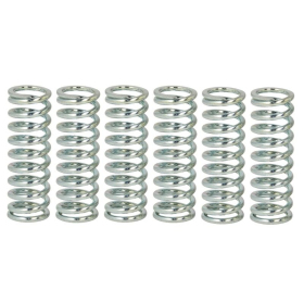 TRW Clutch springs set Yamaha TDM / WR / YZ / YZF-R6 250-850 96-17