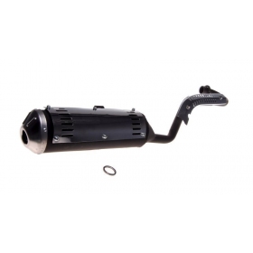 Exhaust ATV 250 STXE 4T