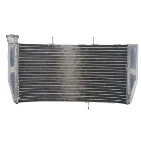 Radiator 4RIDE HONDA CBR 900 2002-2003