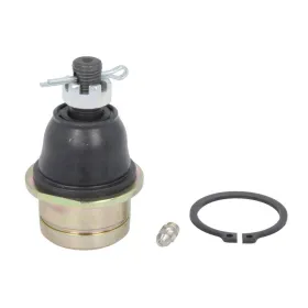 ALL BALLS Bottom/top ball joint Can Am DS 650 00-07