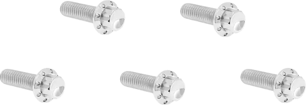 ARLEN NESS Derby Cover Titanium 12-Point Bolt Kit 12pcs. M8