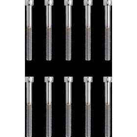 DRAG SPECIALTIES Replacement Socket-Head Bolts M5 10vnt.
