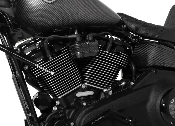 Arlen Ness Coil Cover Harley Davidson FLFBS / FLHCS / FLHX 1923-1977cc 24-26