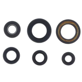 ATHENA Engine simmerings' sets Yamaha XT 600 94-03