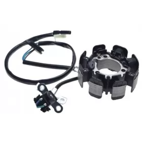 Generatorius HONDA CRF150F 2003-2005