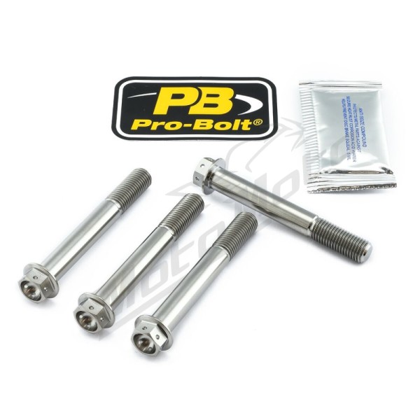 PRO BOLT Titanium Brake Caliper Mount Kit Kawasaki / Yamaha 900-1000cc 07-24