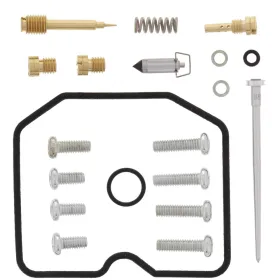 ALL BALLS Carburetor repair kit Arctic Cat 300 01-05