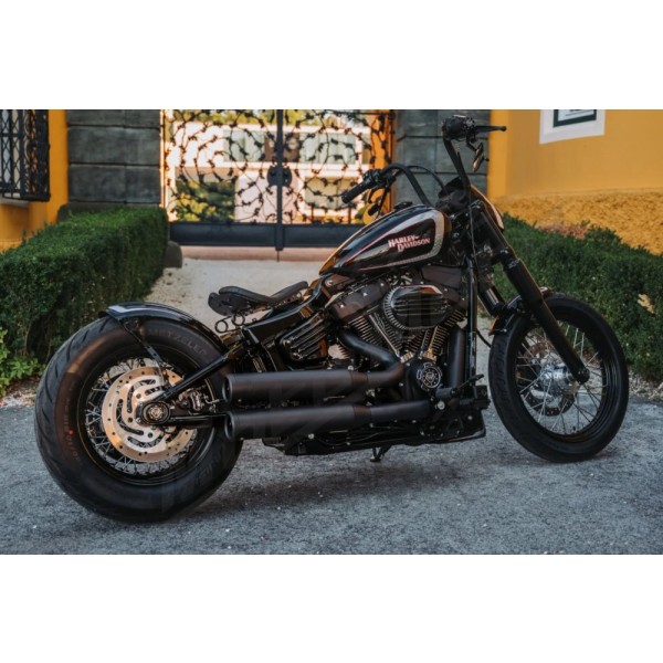 CULT WERK Frame Cover Harley Davidson 1750-1868cc 2018-2024