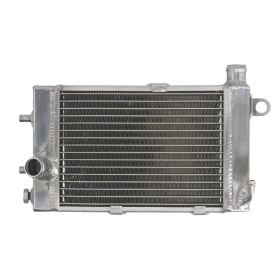 4Ride Radiator APRILIA TUONO 1000 2002-2005