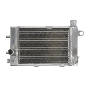 4Ride Radiator APRILIA TUONO 1000 2002-2005