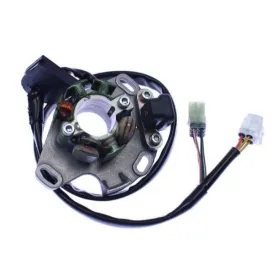 ELECTREX Stator SUZUKI RM250 98-01