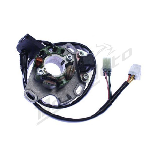 ELECTREX Generatorius SUZUKI RM250 98-01