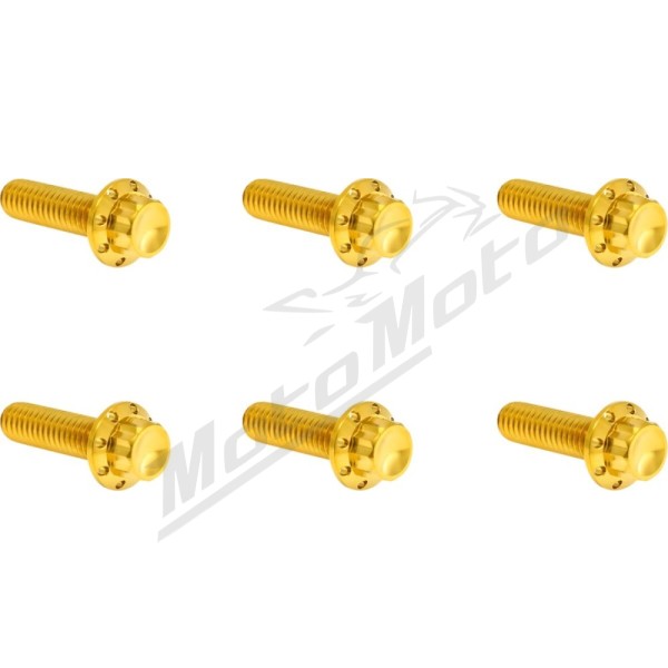 ARLEN NESS Transmission Top Cover Titanium 12-Point Bolt Kit 12pcs. M8