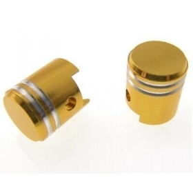 Valve cap' Pistons' 2 PCS.