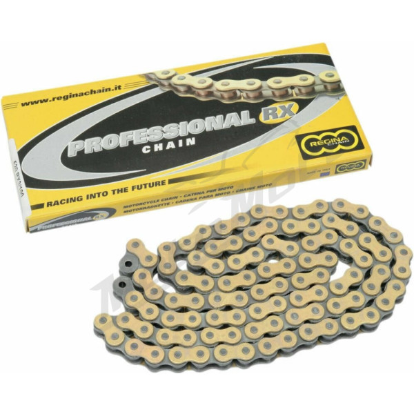 REGINA 420RX3 Chain 110 links