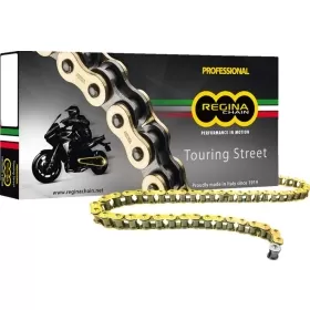 REGINA 525 ZRT Drive Chain Ducati / Honda / Triumph / Suzuki 600-1200 88-25