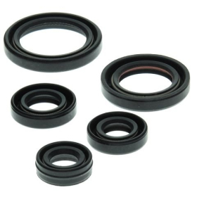 Winderosa (vertex) set of engine seals Yamaha YFM 50 Raptor 04–08