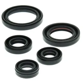 Winderosa (vertex) set of engine seals Yamaha YFM 50 Raptor 04–08