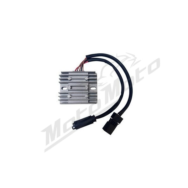 DZE Srovės lygintuvas BMW G 310 R / GS 17-21