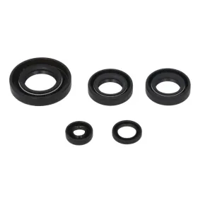 Winderosa Engine gaskets set Suzuki LT-A 50 01-05
