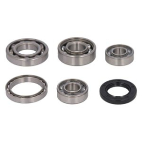Hot Rods Transmission Bearing Kit Honda TRX 250cc 01-19