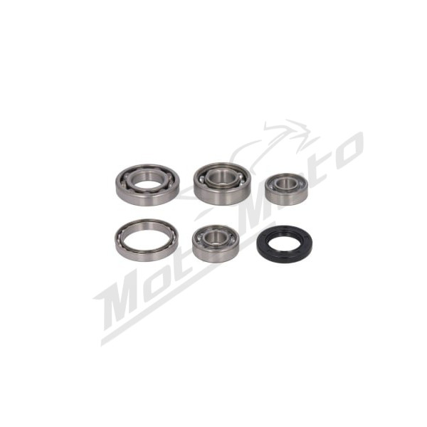 Hot Rods Transmission Bearing Kit Honda TRX 250cc 01-19