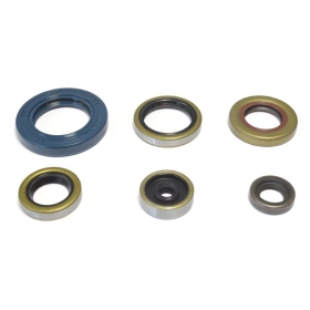 ATHENA Engine Oil Seal KTM SX / XC 65 09-18