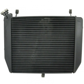 Radiator YAMAHA YZF R1 2002-2003