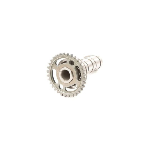 Hot Cams Intake Camshaft Yamaha YZF / YZ / WR 250 01-13