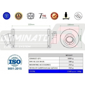 Exhaust silencer Dominator GP 1 Aprilia RS 125 1999-2005