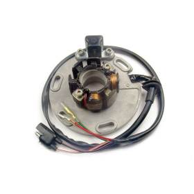 ELECTREX Stator Suzuki RM 125-250cc 94-96