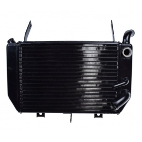 Radiator SUZUKI TL1000R 98-01 (bottom radiator)