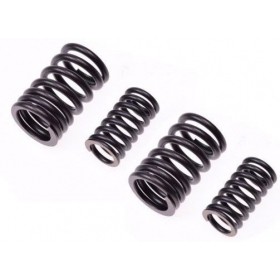 Valve spring kit SUZUKI GN 125cc 1994-1999
