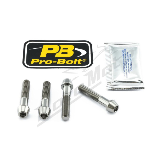 PRO BOLT Vairo tvirtinimo varžtų rinkinys Aprilia / Kawasaki / Suzuki / Yamaha 600-1400cc 98-24