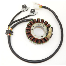 ELECTROSPORT Stator Suzuki DR 350 90-99