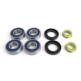 EPI REAR INDEPENDENT SUSPENSION KIT Can-Am Outlander / Renegade 500-850 13-18