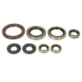 Winderosa Engine gaskets set (quantity per set 8 pcs) Husqvarna / KTM 250-350 12-16