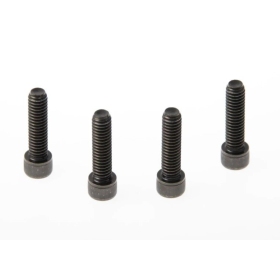 CULT WERK Fender Screws Harley Davidson XL 1200cc 2010-2022 4pcs