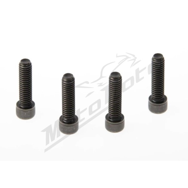 CULT WERK Fender Screws Harley Davidson XL 1200cc 2010-2022 4pcs