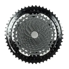 E*THIRTEEN TRS Plus 12 Speed 9-46T Cassette