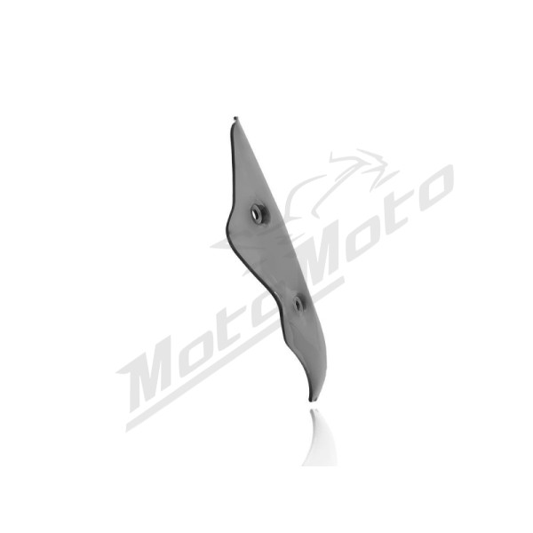 WRS SPORT BM056FS Priekinis stiklas Tamsintas 75% BMW R1250R ABS 19-24
